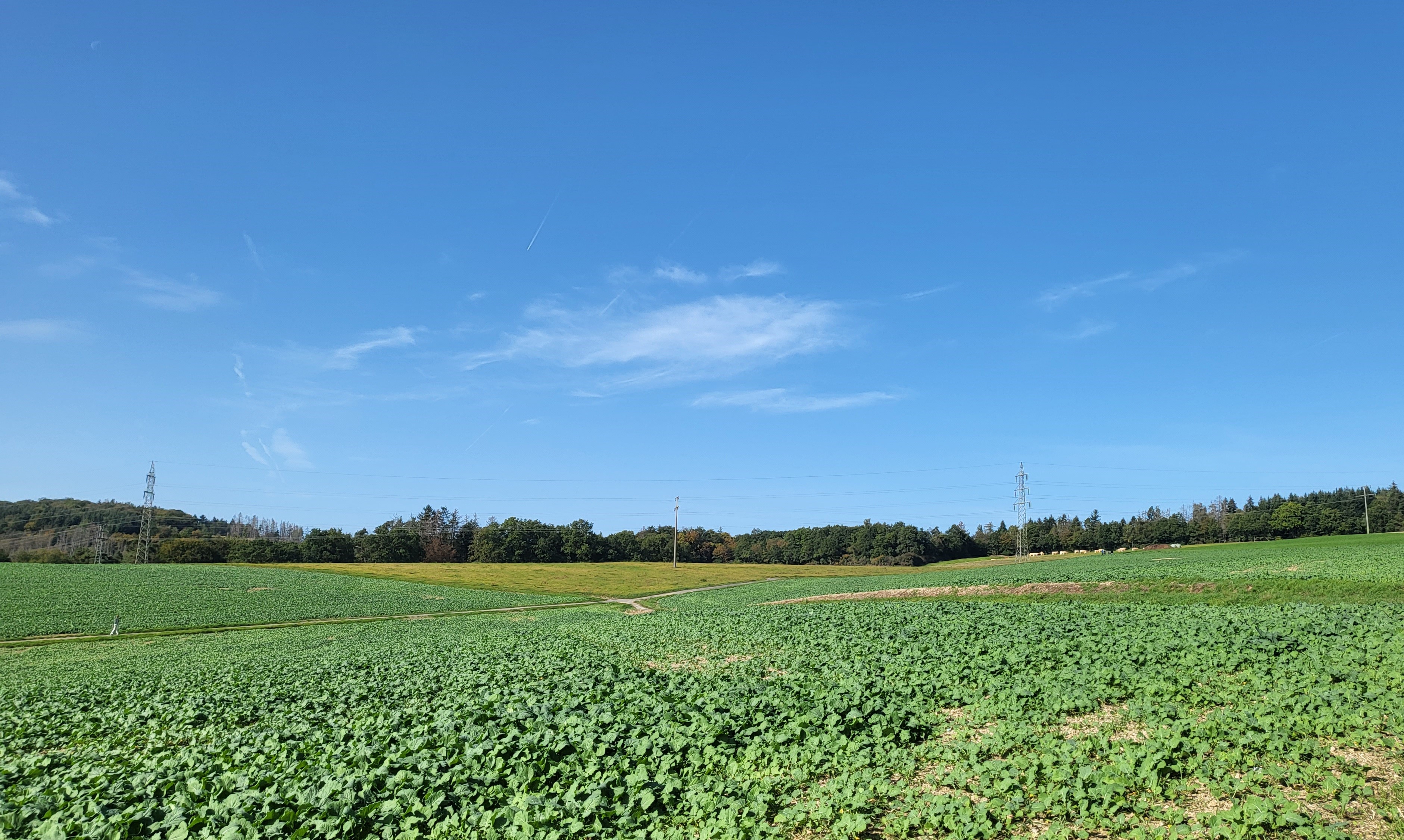 Feldrandlage